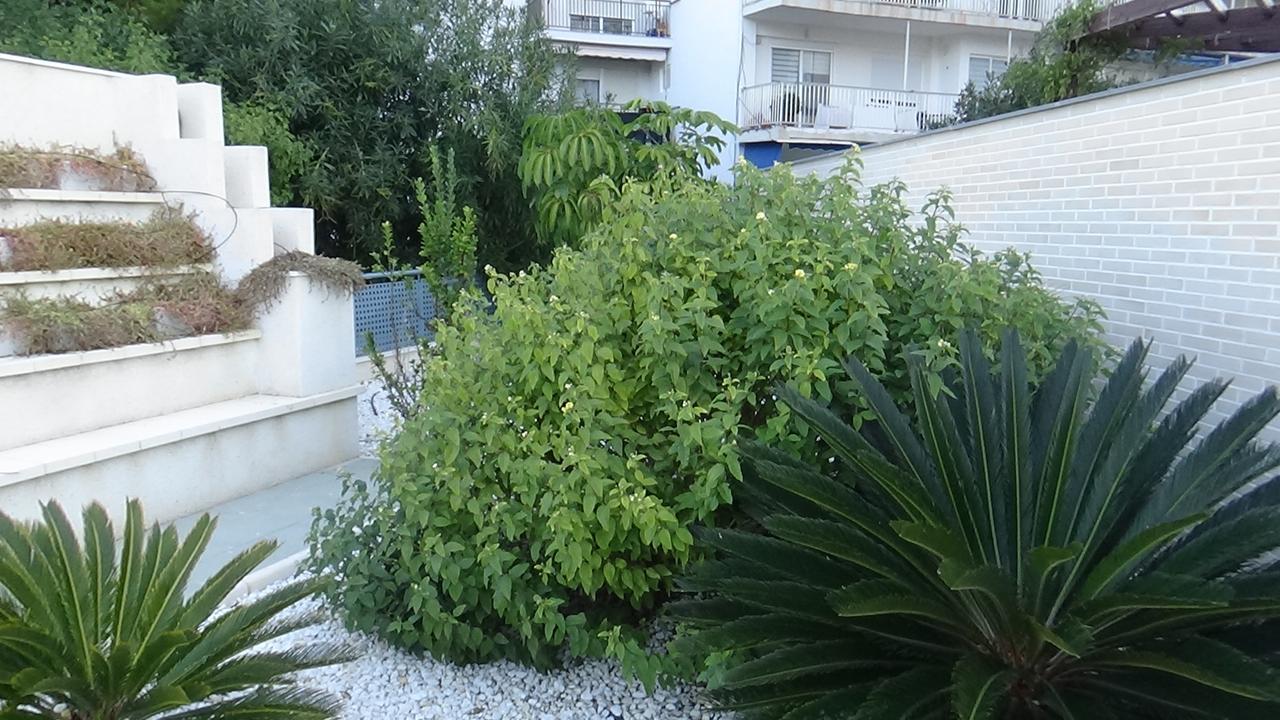 Aпартаменты В San Juan Playa Alicante Eksteriør bilde